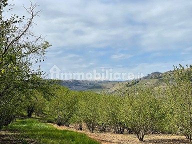 Rustico regione Pianezzo 46, Canelli