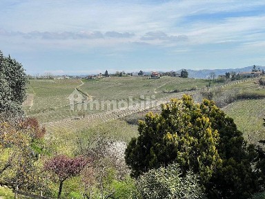Canelli, Regione Braglia, 1