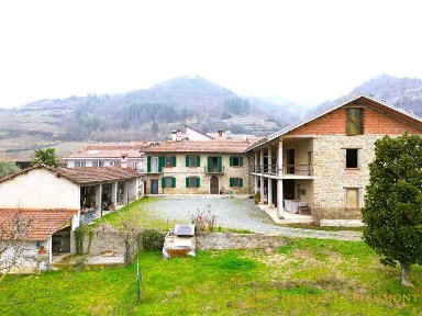 Vesime
