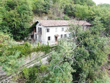 Canelli
