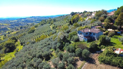 Torri in Sabina, Vocabolo Santa Lucia, 7