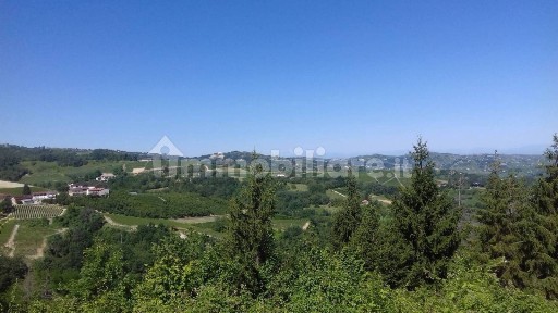 Cassinasco, Via Canelli