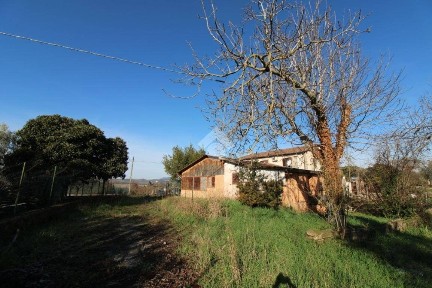 Montopoli di Sabina, VIA TERNANA
