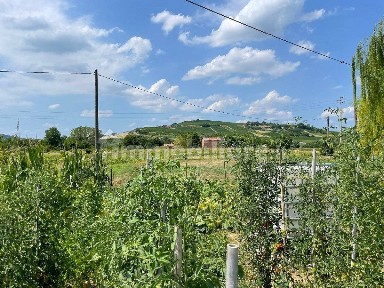 Rustico frazione Quartino 28, Centro, Calamandrana
