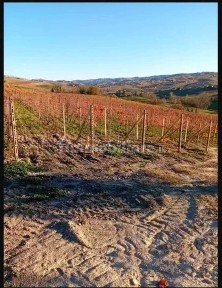 Costigliole d'Asti, Strada Garera