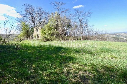 Cascina 250 m², Centro, Loazzolo