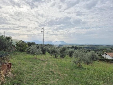 Terratetto unifamiliare via Santa Maria, Montopoli di Sabina