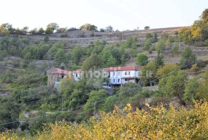 Rustico Puscheira, Serole