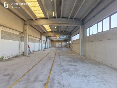 Magazzino - Deposito in Affitto