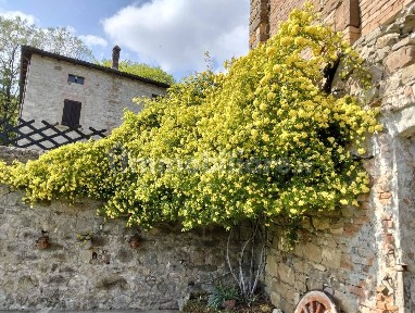 Villa unifamiliare via Casone, Centro, Vergato