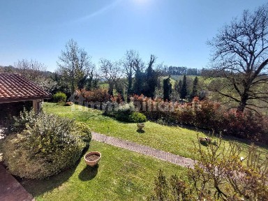 Imola