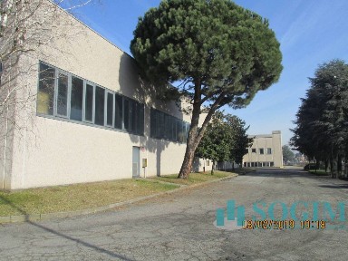 Capannone in Vendita