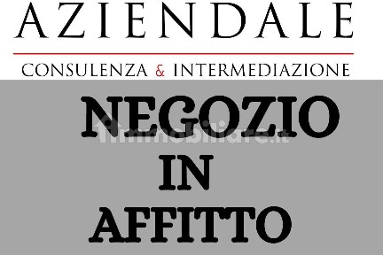 Locale commerciale in Affitto