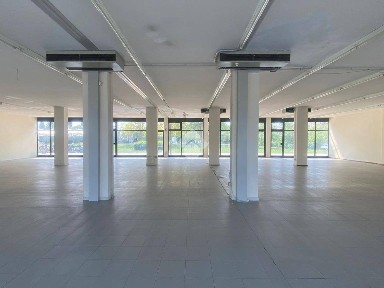 Locale commerciale in Affitto