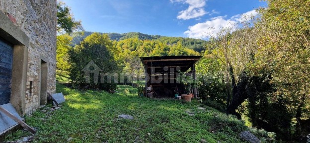 Rustico Seano, Centro, Cortona