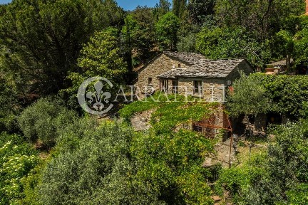 Casale Case Sparse Cortona 86, Cortona