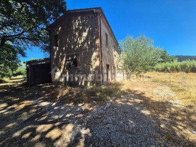 Casa colonica via Petrarca, Terontola, Cortona