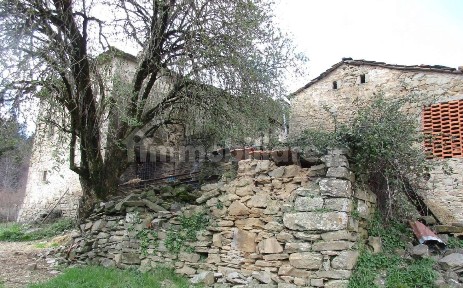 Casa colonica Fraz. Carda, Carda, Castel Focognano