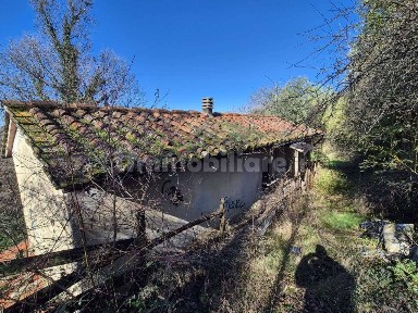 Casa colonica località Piantravigne, Piantravigne, Terranuova Bracciolini