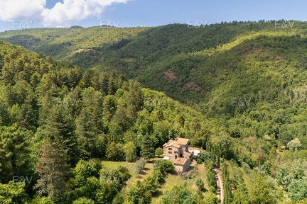 Casale via Guido Monaco, Talla