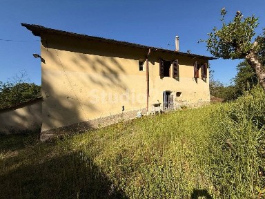 Rustico la ginestra, Pestello, Ginestra, Montevarchi