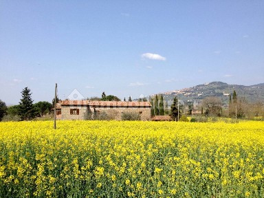 Casale Ossaia, Cortona