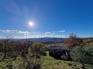 Rustico Strada Statale Senese Aretina, Centro, Monte San Savino