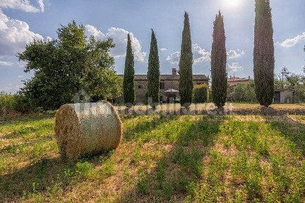 Cortona, Farinaio