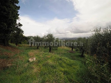 Civitella in Val di Chiana, Via delle Vaglie