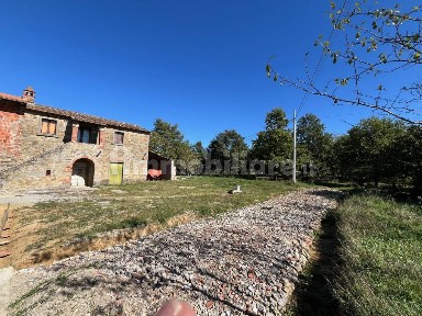 Cortona, Case Sparse Burcinella