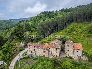 Rustico Strada Provinciale di Camaldoli, Bibbiena