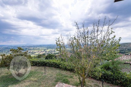 Cortona, Tavernelle