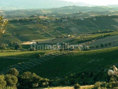 Capannone all'asta via Boreale, Acquaviva Picena