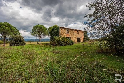 Rustico Pietraia, Cortona