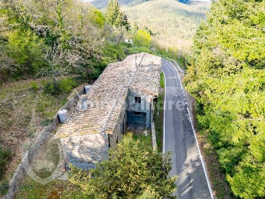 Cortona, Novelle, 13