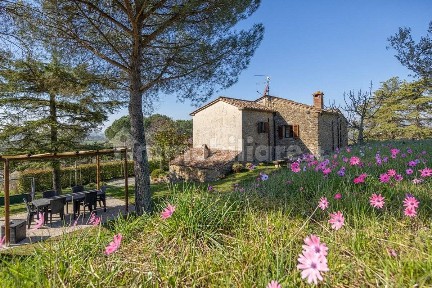 Cortona, Cegliolo