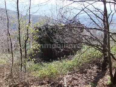 Rustico Loc. Trappola, Trappola, Loro Ciuffenna