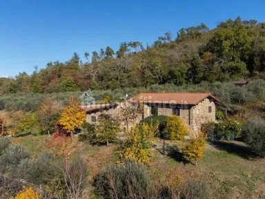 Cascina Montecchio, 150, Montecchio, Castiglion Fiorentino