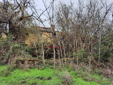 Casa colonica Monte san Savino, Monte San Savino