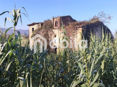 Rustico via campagna, Levanella, Montevarchi