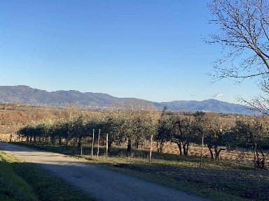 Rustico, da ristrutturare, 330 m², Centro, Civitella in Val di Chiana
