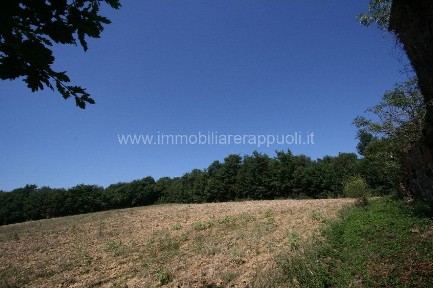 Casale, da ristrutturare, 5 m², Centro, Lucignano