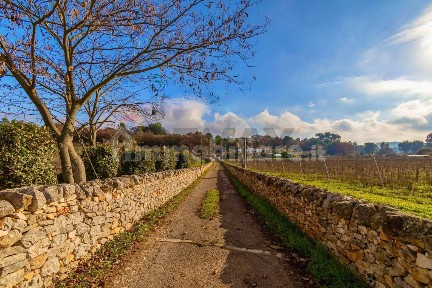 Ostuni