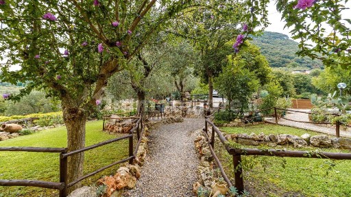 Finale Ligure, Contrada Bolla, 26