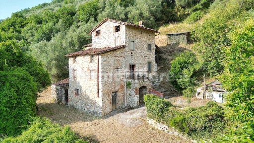 Borgo a Mozzano, Domazzano, 8