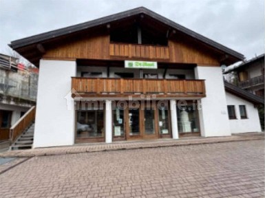 Capannone all'asta via galghena, 13, Pieve di Cadore