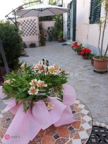 Quadrilocale via Vittorio Corcos 21, Porta a Mare - Mazzini, Livorno