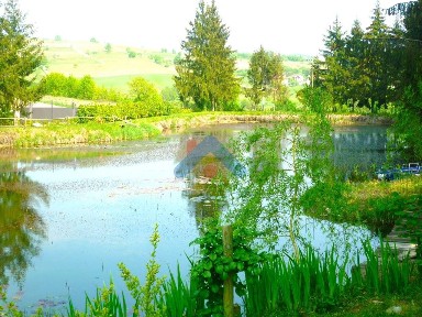 Moncucco Torinese, Località Borelli