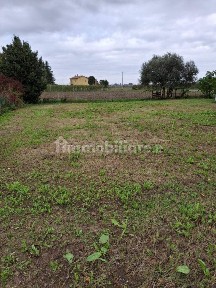 Trilocale via Placci 4, Fusignano