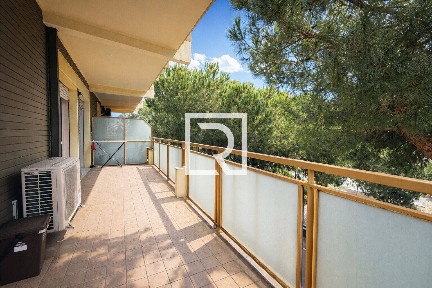 Cervia, Viale Alfredo Oriani